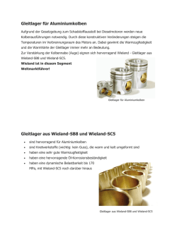 Gleitlager f&uuml;r Aluminiumkolben Gleitlager aus Wieland