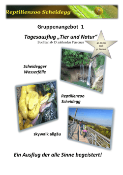 Gruppenangebot 1 zum