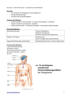 Hormone &ndash; Prof. Zimmermann &ndash; Lernzettel von Patrick Reinke