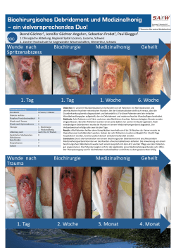 mit Fibrin Wunde nach Biochirurgie Medizinalhonig Geheilt