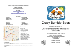 Informationsblatt - Crazy Bumble Bees