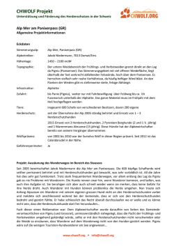 Eckdaten und Konzept 2015 Alp Mer, Panixerpass