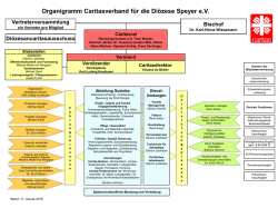 Organigramm Caritasverband f&uuml;r die Di&ouml;zese Speyer e.V.
