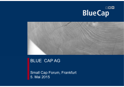 Umsatz - Blue Cap AG