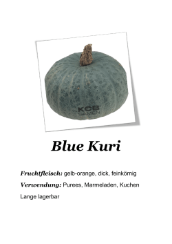 Blue Kuri