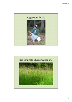 Hageneder Maria Die sch&ouml;nste Blumenwiese O&Ouml;
