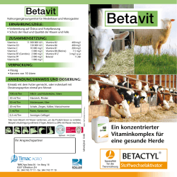 Flyer Betavit