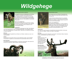 Plakatgestaltung Wildgehege Ehrenberg 2, PDF/X-3 - make-IT