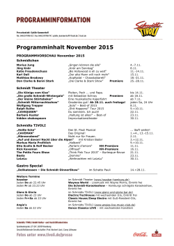 Schmidt Programm Nov 2015