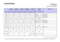 VS Meisterkurs 2013-Stundenplan 12-40-4h definitiv