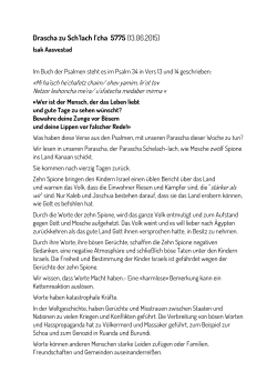 Drascha zu Sch`lach l`cha 5775 (13.06.2015)