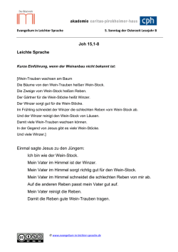 Joh 15,1-8 Leichte Sprache Einmal sagte Jesus zu den J&uuml;ngern: Ich