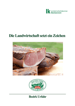 Hammer Andreas und Anda