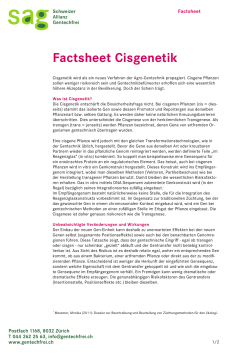 Factsheet Cisgenetik