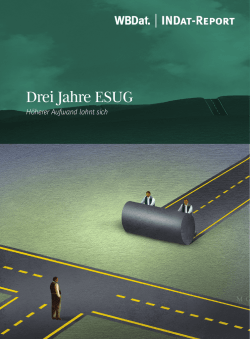 Drei Jahre ESUG - The Boston Consulting Group