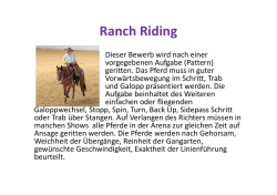 Ranch Riding