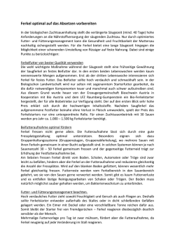 Ferkel optimal auf das Absetzen vorbereiten