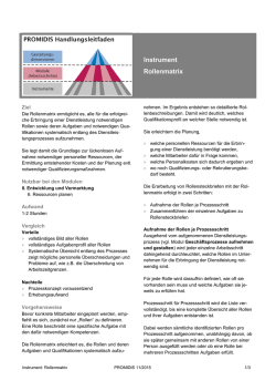 Instrument Rollenmatrix