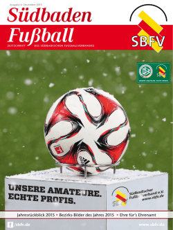 Jahresr&uuml;ckblick 2015 &times; Bezirks-Bilder des Jahres 2015 &times; Ehre f&uuml;r`s