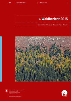 Waldbericht 2015