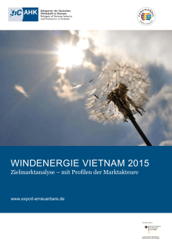 windenergie vietnam 2015