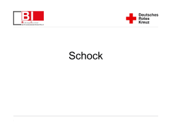 Schock 2015 - Bildungsinstitut