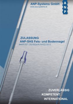 ANP-SHS Fels - ANP Systems