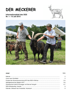 Meckerer 1/15 - Stiefelgeiss.ch