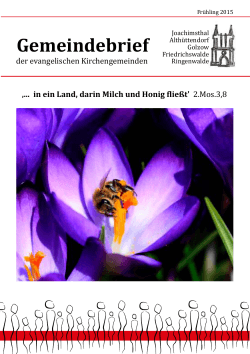 Gemeindebrief Frühjahr 2015 - Kirchengemeinde Joachimsthal