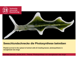 Referat 11 - Technische Universität Braunschweig