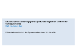 Effiziente Dimensionierungsgrundlagen f&uuml;r die - Stahl