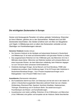 Die wichtigsten Zeckenarten in Europa