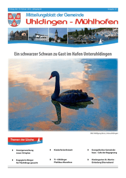 Ein schwarzer Schwan zu Gast im Hafen Unteruhldingen