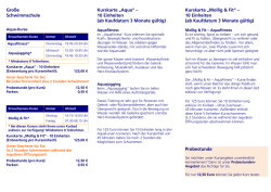 Gro&szlig;e Schwimmschule Kurskarte &bdquo;Aqua&ldquo; &ndash; 10 Einheiten (ab