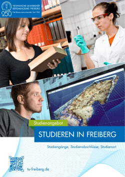 STUDIEREN IN FREIBERG - TU Bergakademie Freiberg