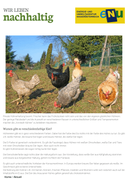 Die „Vorstadt- Hühner“ | Wir leben nachhaltig