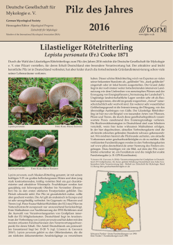 Pilz des Jahres 2016
