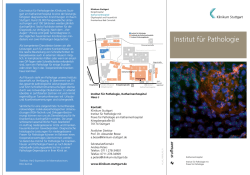 Institut f&uuml;r Pathologie