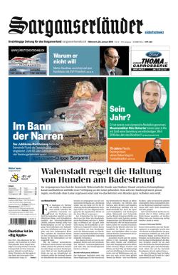Im Bann der Narren