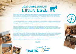 die zukunft