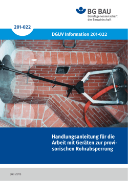 DGUV Information 201-022