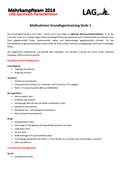 Maßnahmen Grundlagentraining Stufe 1