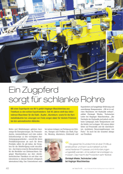 Ein Zugpferd sorgt f&uuml;r schlanke Rohre