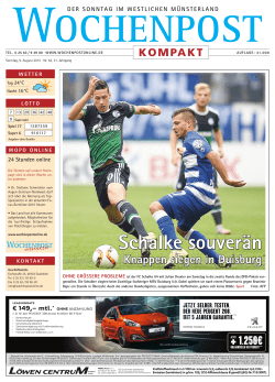 Ausgabe als PDF