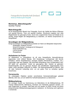 Makrofotografie - Fotografische Gesellschaft Dreiland