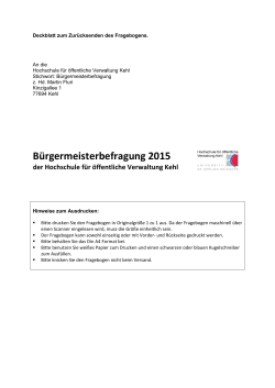 Bürgermeisterbefragung 2015 Papierversion