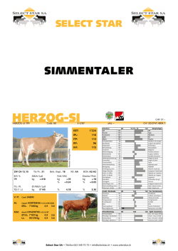 HERZOG-SI - Select Star SA