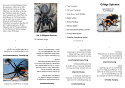 Spinnen - Minibooks