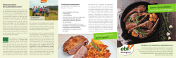 ebl-Lammfleisch-Brosch&uuml;re