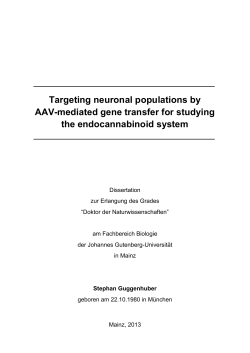 Targeting neuronal populations by AAV